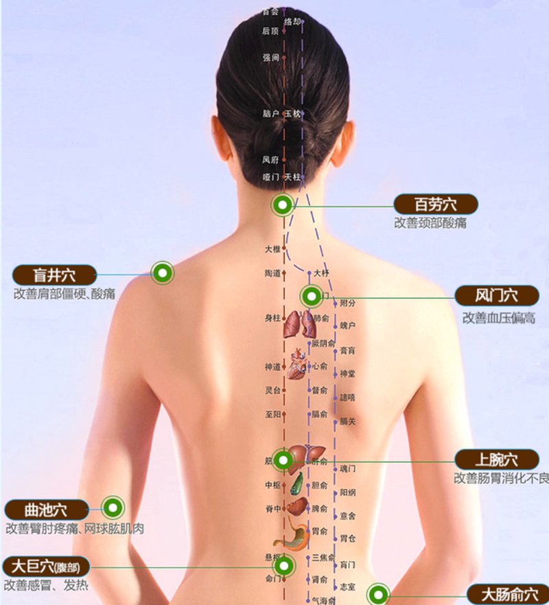 经络养生：解开身体密码，焕发健康活力